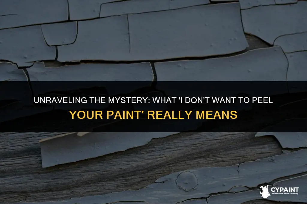 what does i don