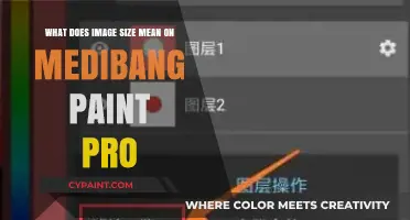 Understanding Image Size Settings in MediBang Paint Pro