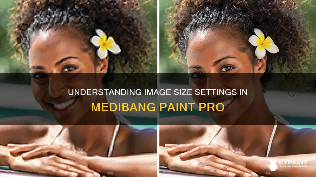 what does image size mean on medibang paint pro