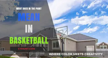 Understanding 'In the Paint' in Basketball: Key Areas and Rules Explained
