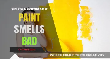 Decoding Paint Odors: When Your Can of Paint Smells Off