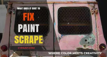 How Much Does Repairing a Paint Scrape Really Cost?