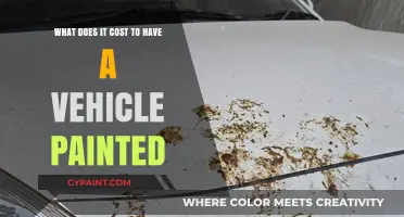 How Much Does It Cost to Paint a Car?
