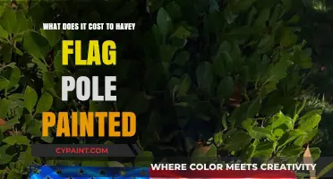 Flag Pole Painting: How Much Does It Cost?