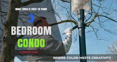 Painting a 3-Bedroom Condo: What's the Cost?