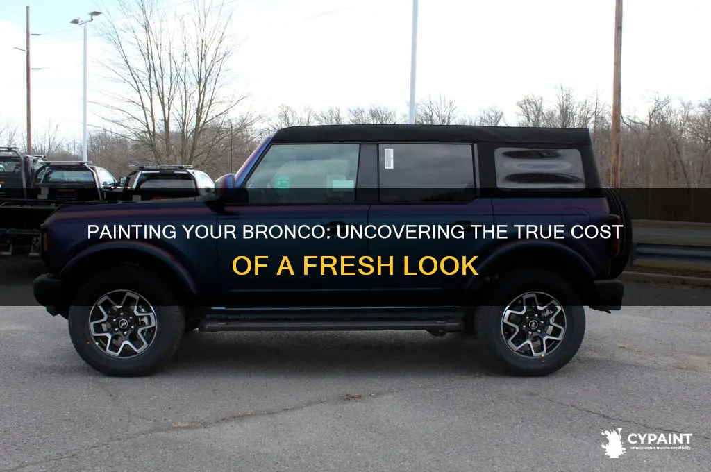 what does it cost to paint a bronco