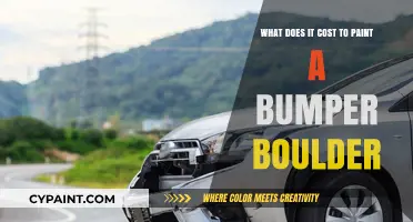 The Cost of Painting Bumper Boulder: How Much?