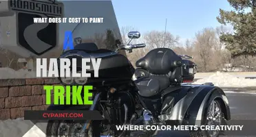 Customizing Your Harley Trike: Painting Costs Explored
