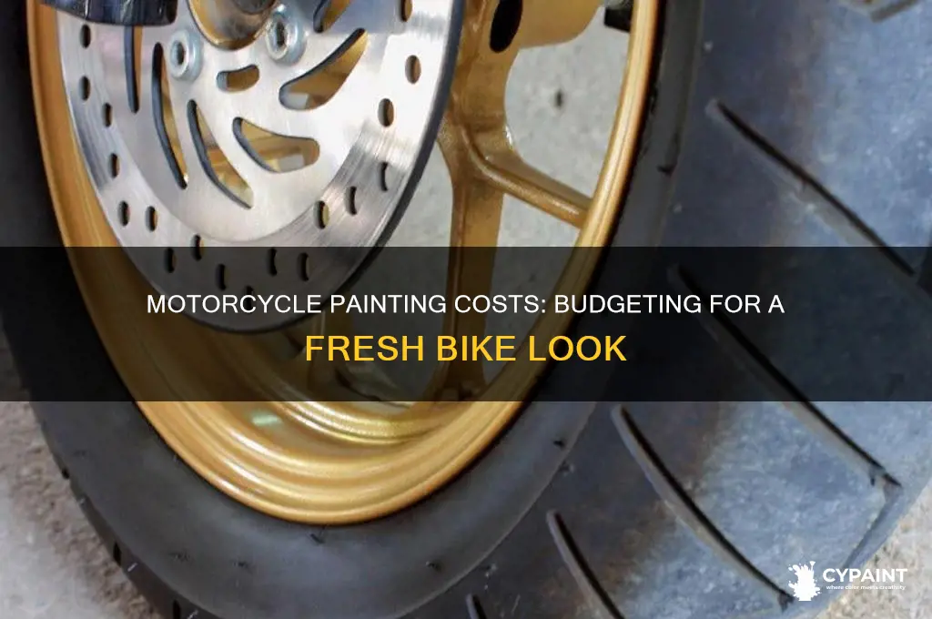 what does it cost to paint a motorcycle
