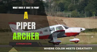 Piper Archer Repainting: How Much Does It Cost?