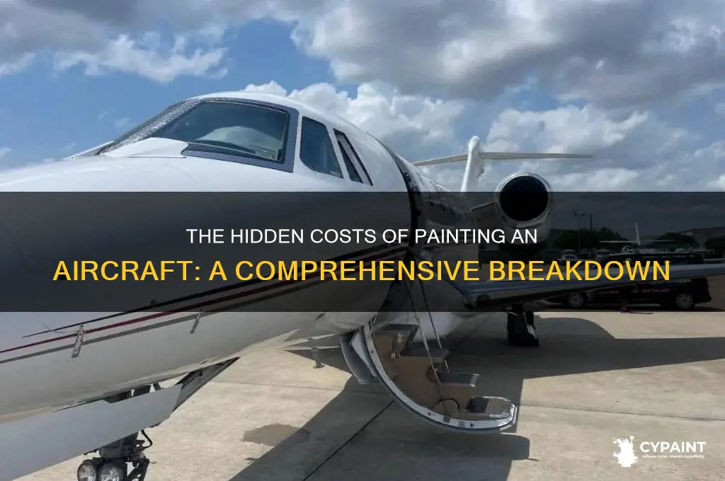 what does it cost to paint a plane