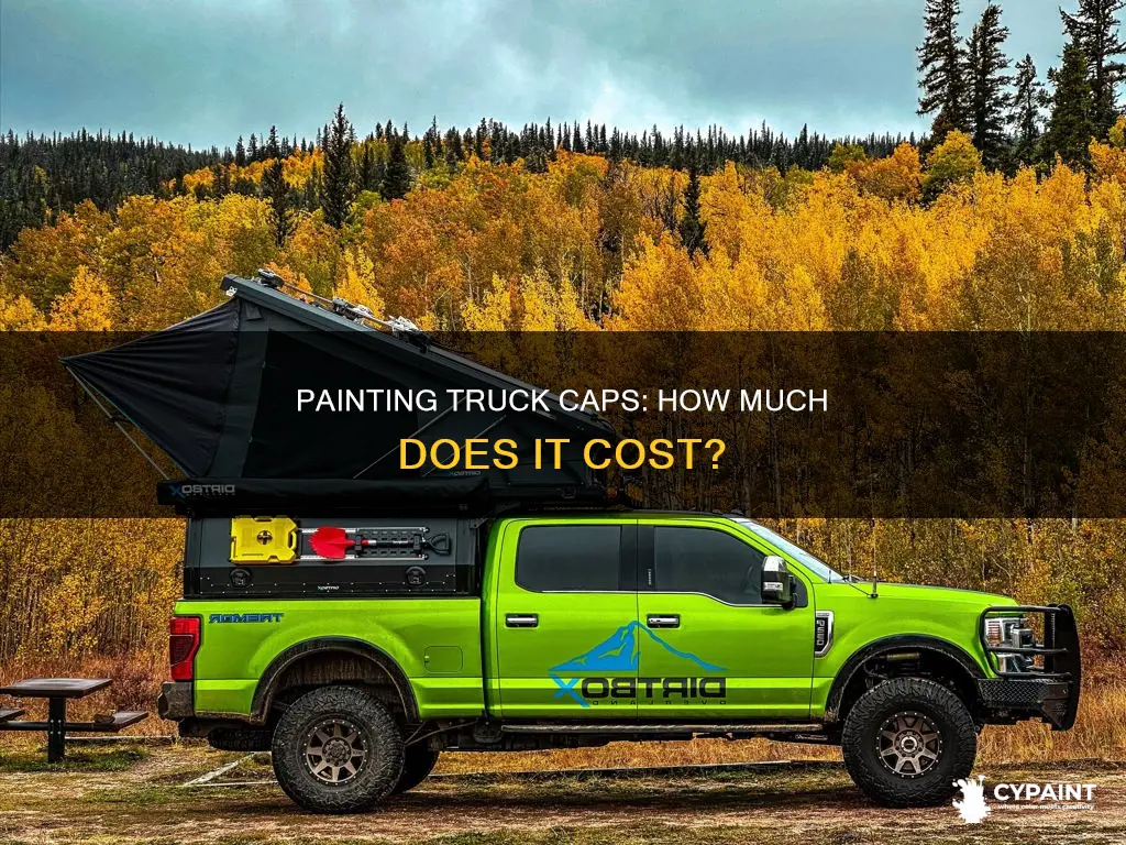 what does it cost to paint a truck cap