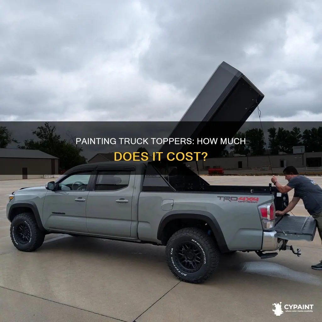what does it cost to paint a truck topper