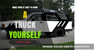 Truck Painting Costs: DIY vs Professional Services