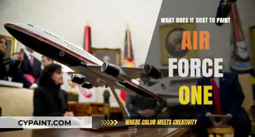 The Expense of Painting Air Force One