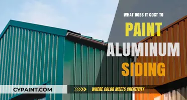 Painting Aluminum Siding: Understanding the Costs and Budgeting Tips