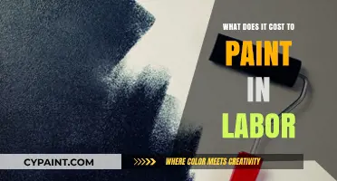 Labor Costs for Painting: Understanding the Expenses Involved