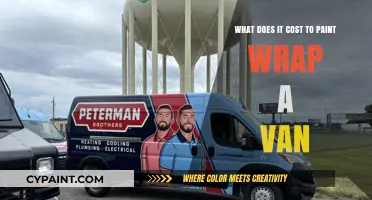 Van Painting and Wrapping: What's the Cost?