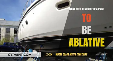 Understanding Ablative Paint: A Comprehensive Guide to Its Meaning and Uses
