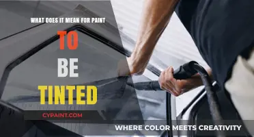 How Tinted Paint Transforms Your Space