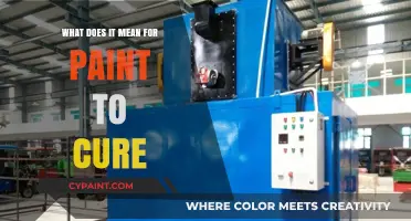 Understanding Paint Curing: Process, Time, and Factors for Durability