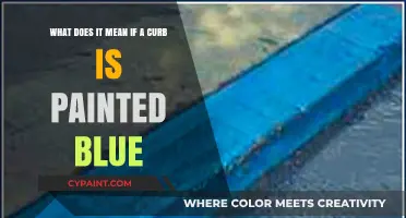 Decoding Blue Curbs: Understanding Parking Regulations and Accessibility