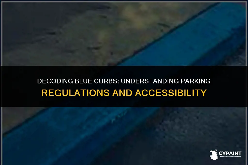 what does it mean if a curb is painted blue