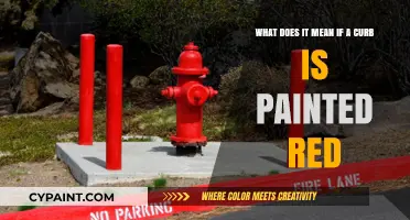 Decoding Road Rules: The Significance of Red-Painted Curbs