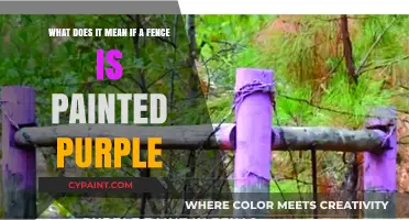 Unveiling the Mystery: The Significance of a Purple-Painted Fence