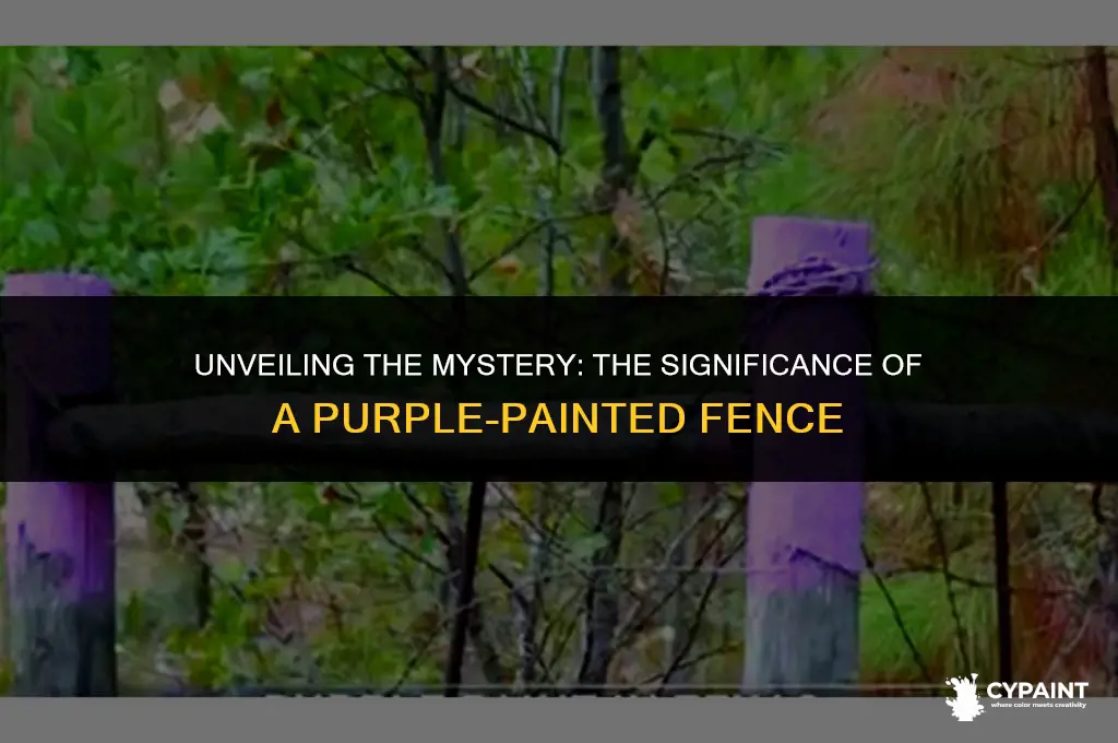what does it mean if a fence is painted purple