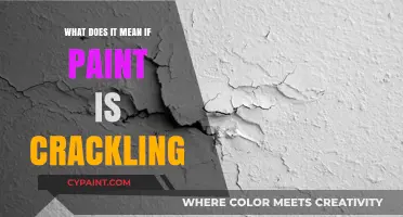 Why Paint Crackles: Causes, Prevention, and Effective Solutions Explained
