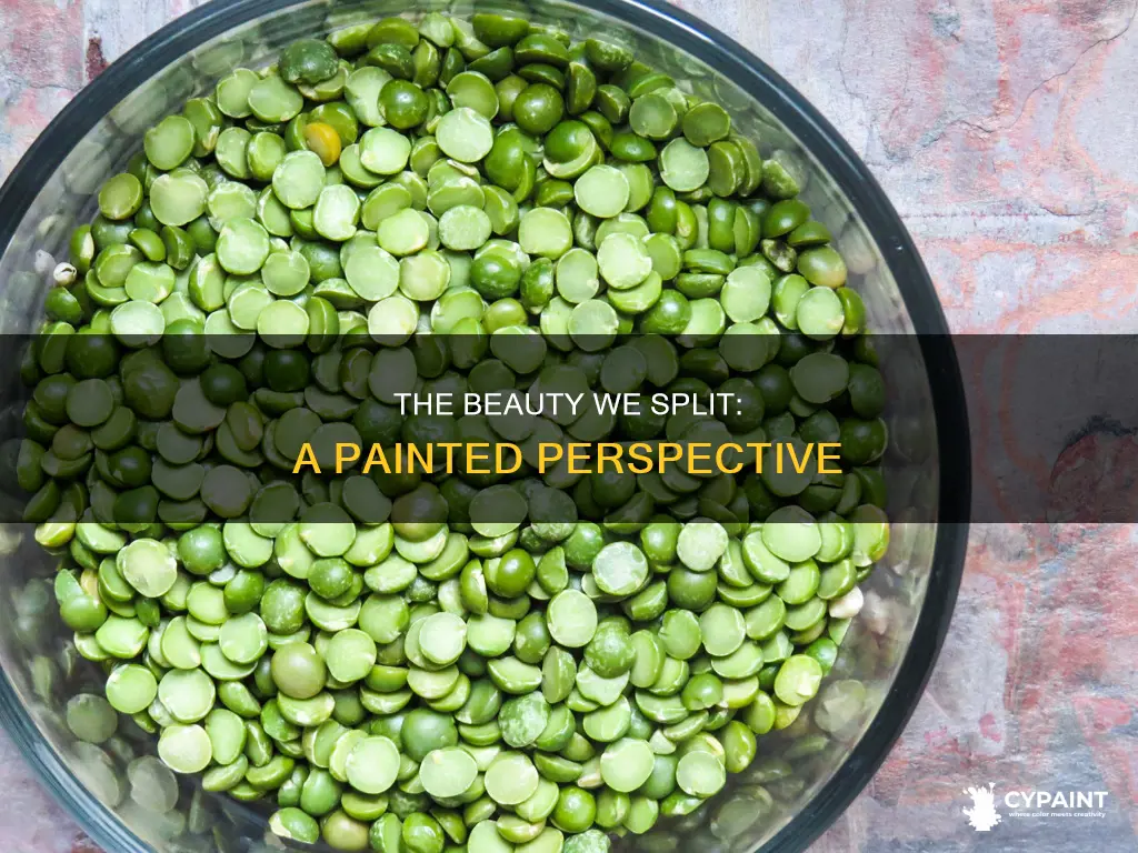 what does it mean paint the beauty we split