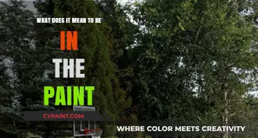 The Paint Zone: Strategies and Secrets