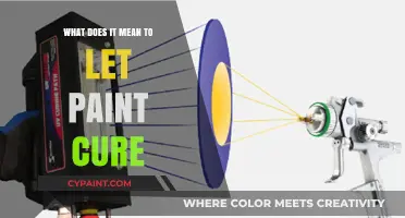 Understanding Paint Curing: Essential Steps for Long-Lasting Results