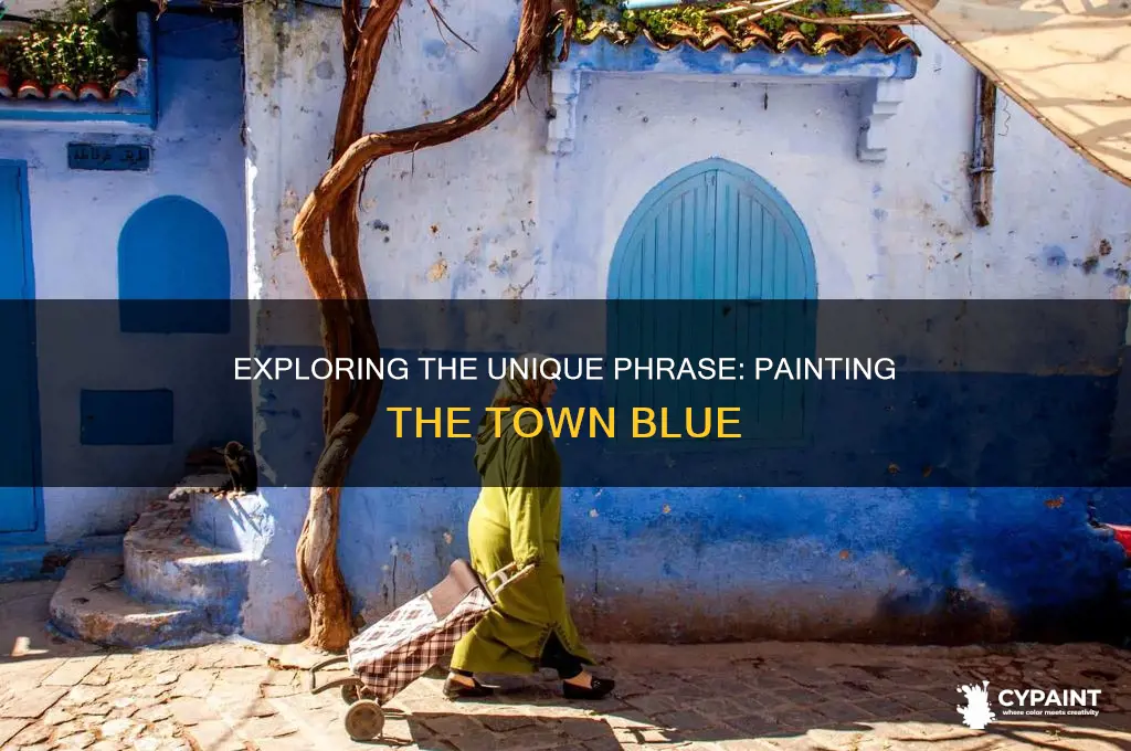 what does it mean to paint the town blue