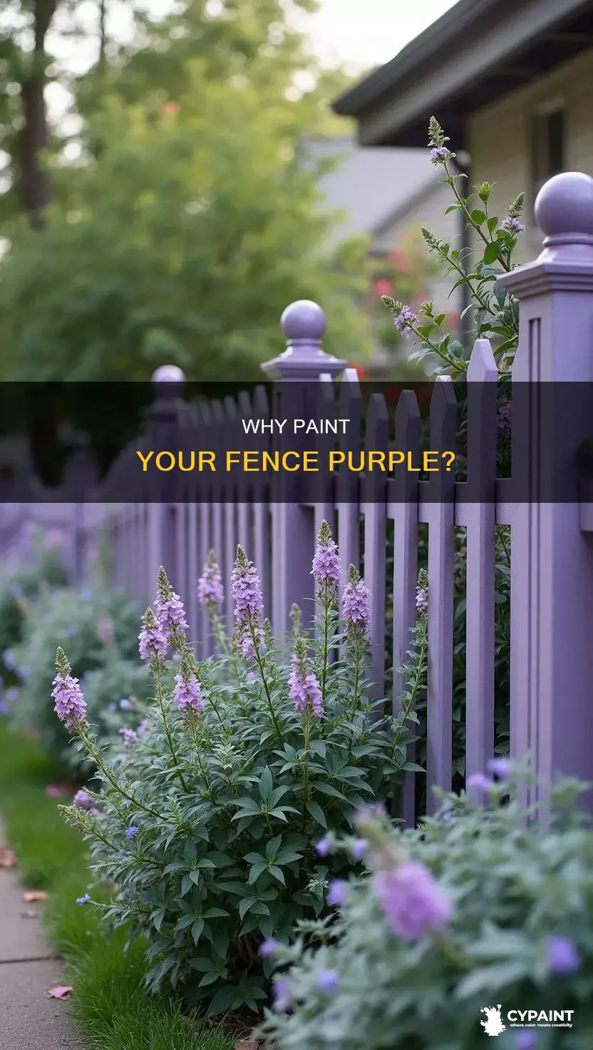 what does it mean to paint your fence purple