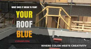Blue Roofs: Why Paint Your Roof Blue?