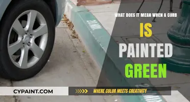 Decoding Green Curbs: Understanding Parking Regulations and Exceptions