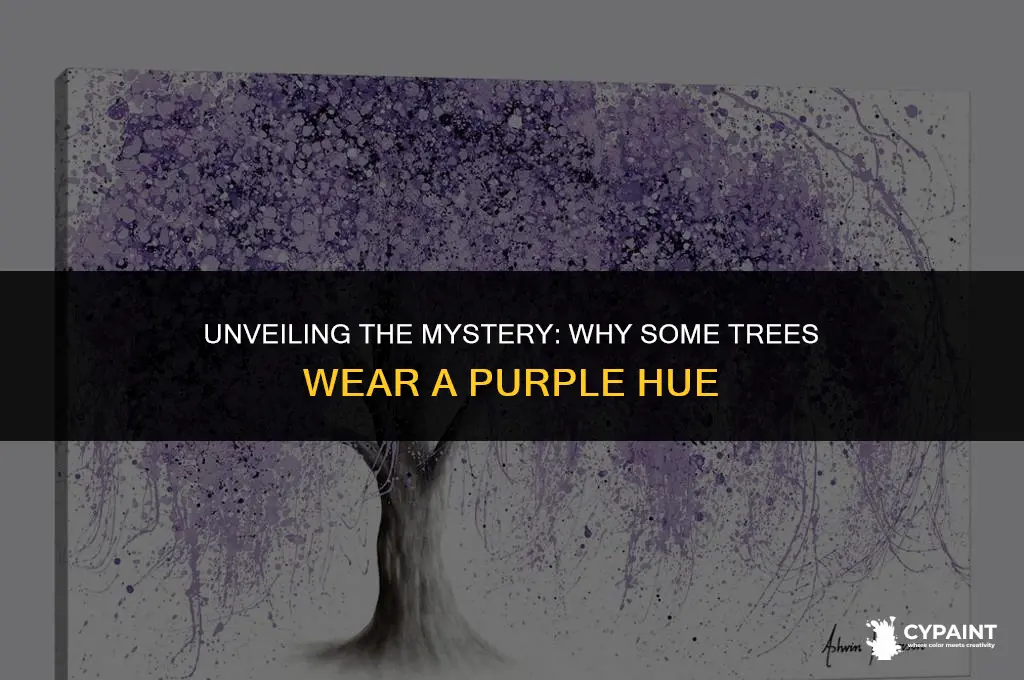 what does it mean when a tree is painted purple
