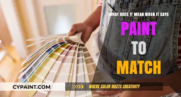 Decoding 'Paint to Match': A Guide to Perfect Color Harmony