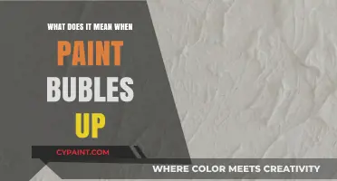 Why Paint Bubbles Up: Causes, Prevention, and Effective Solutions Explained