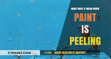 Why Paint Peels: Causes, Prevention, and Effective Solutions Explained