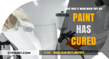 Understanding Paint Curing: A Guide to Perfect Finishes