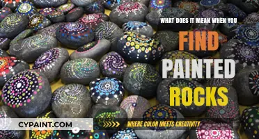Painted Rocks: A Hidden Message or Random Art?