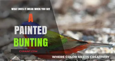 Nature's Palette: Decoding the Meaning Behind Painted Buntings