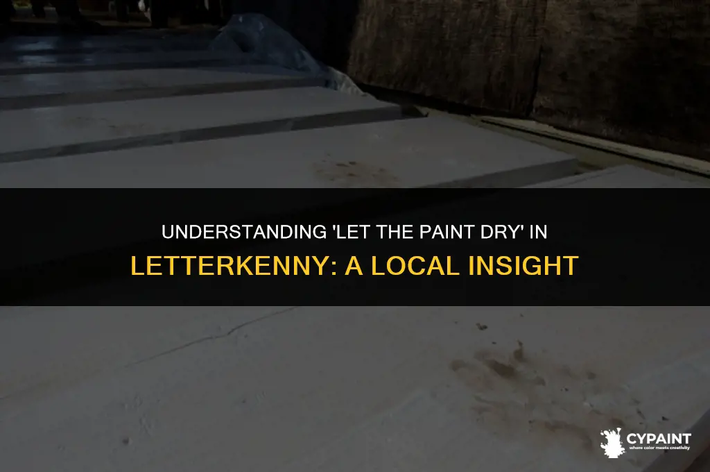 what does let the paint dry mean on letter kenny