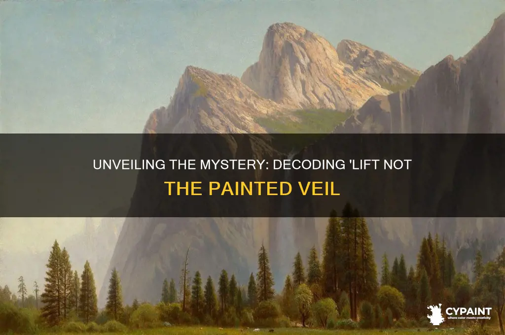 what does lift not the painted veil mean