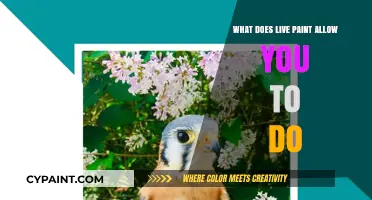 Unlock Creative Potential: What Does Live Paint Allow You to Do?