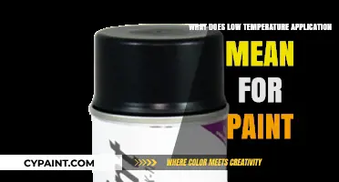Low Temperature Paint Application: Challenges, Solutions, and Best Practices