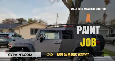 Maaco Paint Job Costs: What to Expect for Your Vehicle
